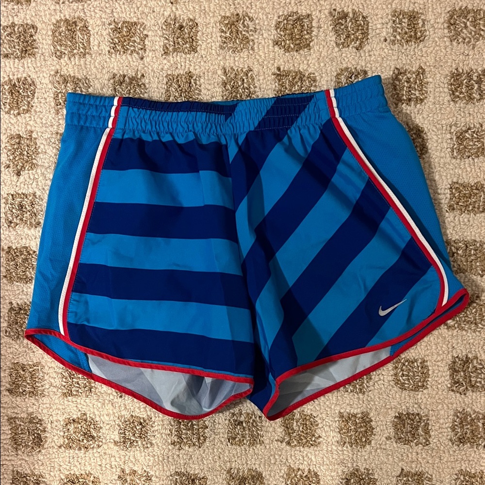 Nike Dri Fit Shorts